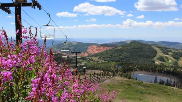 Why Travelers Book Brian Head Rentals Through Stay